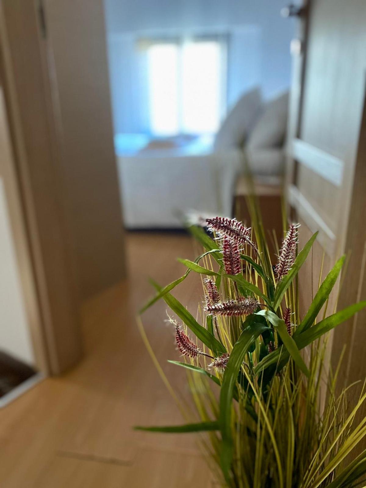 Casa Del Sol Διαμέρισμα Aronion Εξωτερικό φωτογραφία